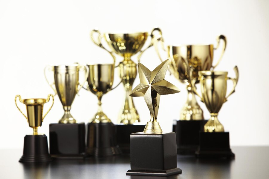 Best Innovative Learning Award Achiever